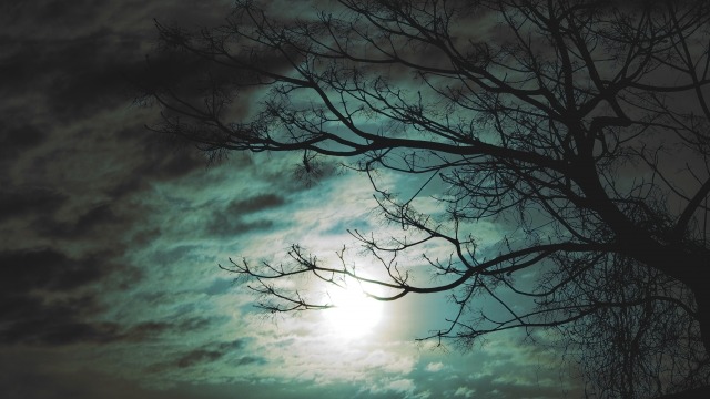 冥界への道イメージ