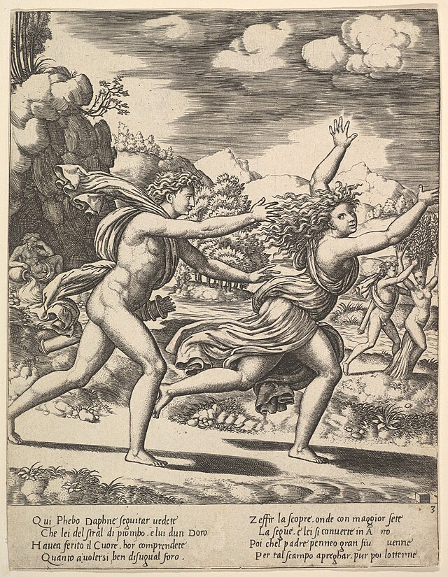 Apollo chasing Daphne who throws her arms up, in the background at right shows the moment she turns in a laurel, from The Story of Apollo and Daphne（1530年）